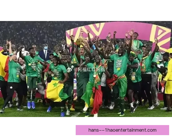 2025非洲杯预选赛全面启动各球队全力备战新赛季精彩纷呈